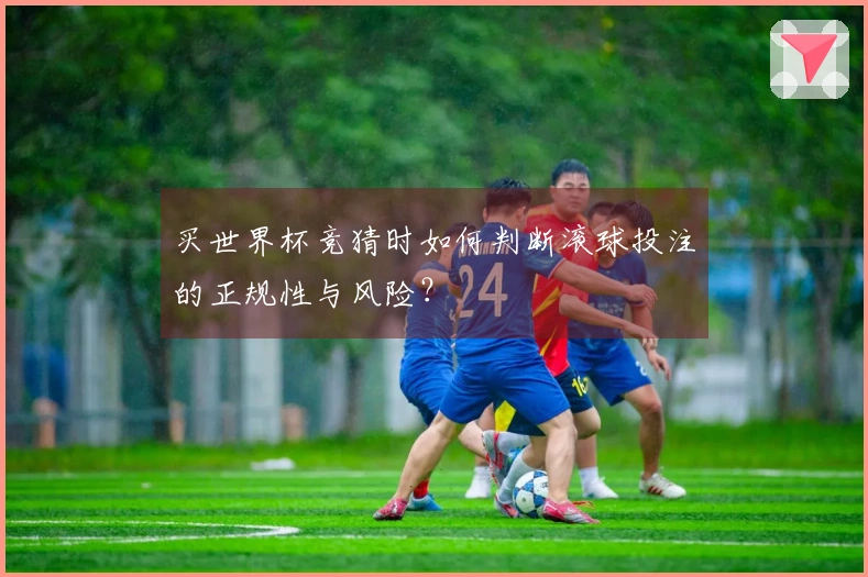 买世界杯竞猜时如何判断滚球投注的正规性与风险？
