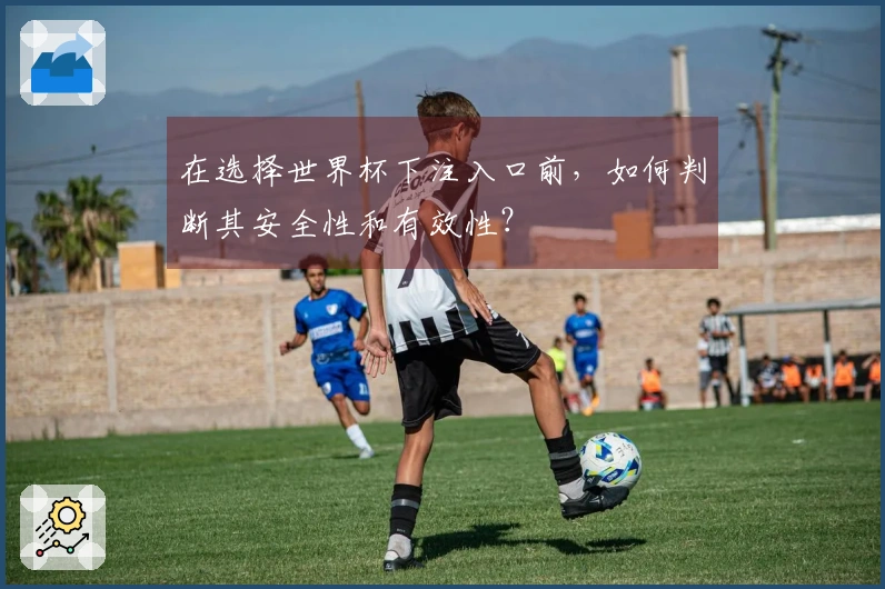 在选择世界杯下注入口前，如何判断其安全性和有效性？