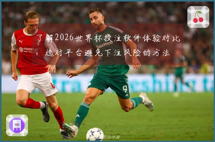 了解2026世界杯投注软件体验对比，选对平台避免下注风险的方法