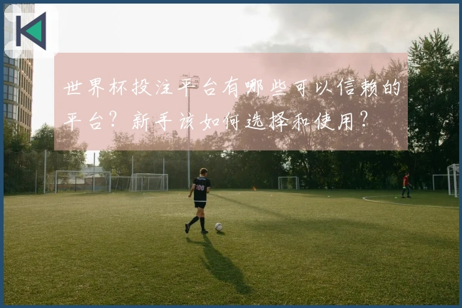 世界杯投注平台有哪些可以信赖的平台？新手该如何选择和使用？