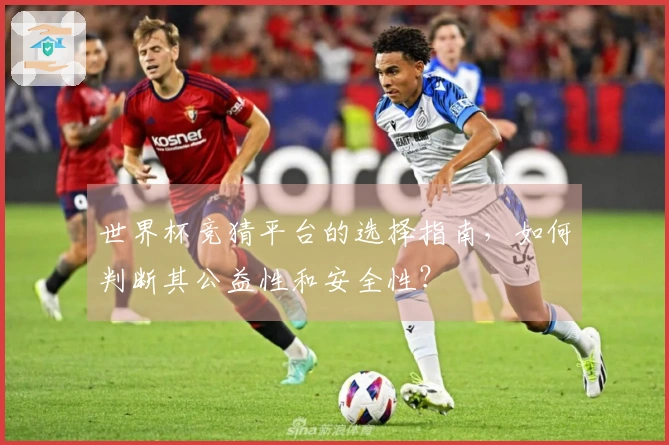 世界杯竞猜平台的选择指南，如何判断其公益性和安全性？