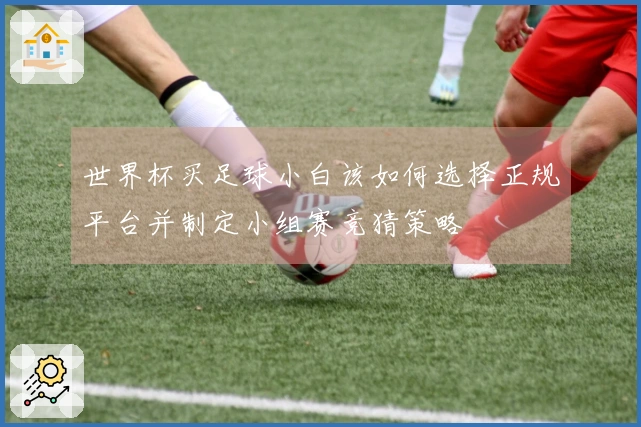 世界杯买足球小白该如何选择正规平台并制定小组赛竞猜策略