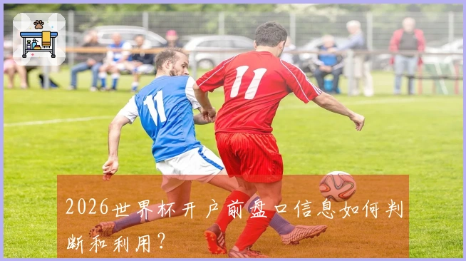 2026世界杯开户前盘口信息如何判断和利用？