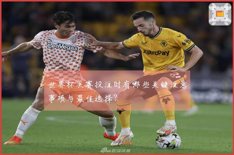 世界杯决赛投注时有哪些关键注意事项与最佳选择？