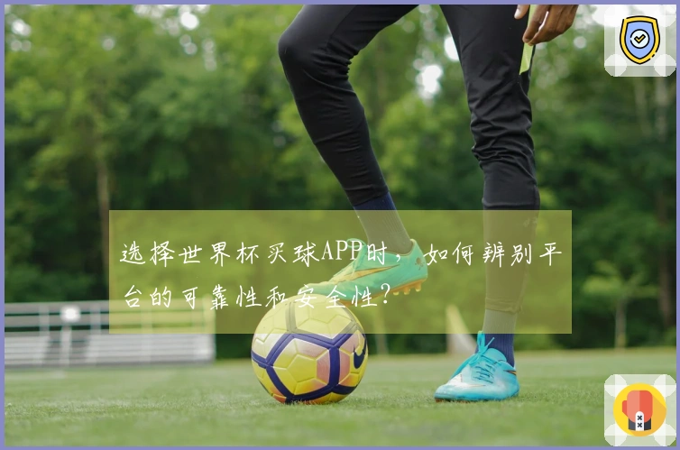 选择世界杯买球APP时，如何辨别平台的可靠性和安全性？