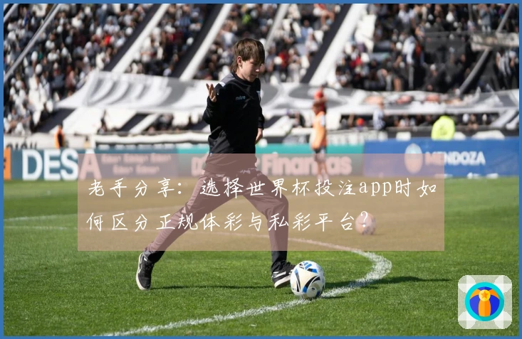 老手分享：选择世界杯投注app时如何区分正规体彩与私彩平台？