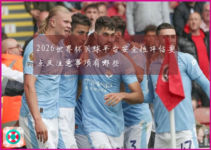 2026世界杯买球平台安全性评估要点及注意事项有哪些