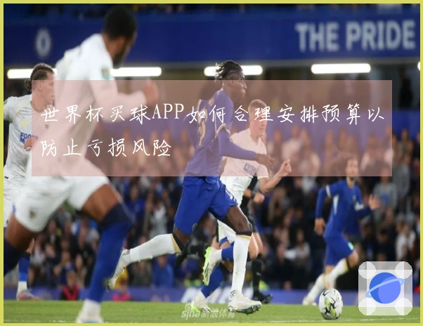 世界杯买球APP如何合理安排预算以防止亏损风险