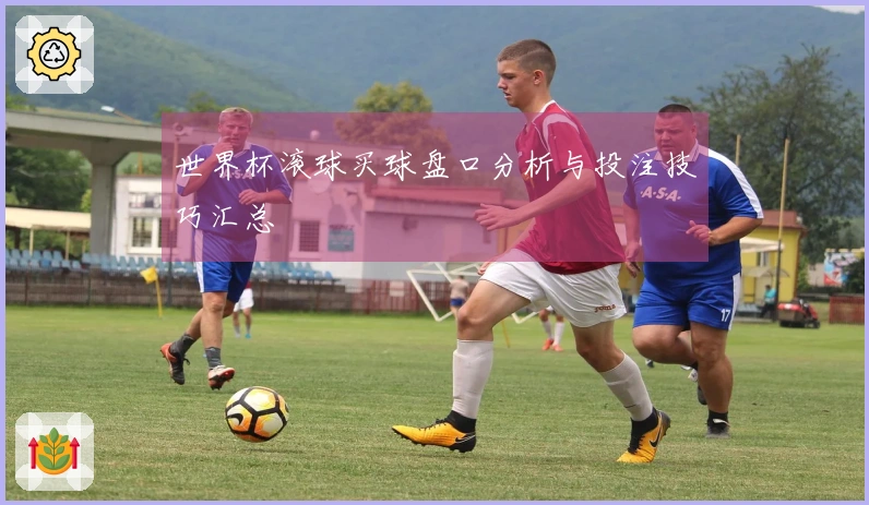 世界杯滚球买球盘口分析与投注技巧汇总