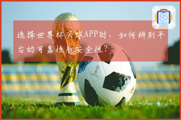 选择世界杯买球APP时，如何辨别平台的可靠性和安全性？
