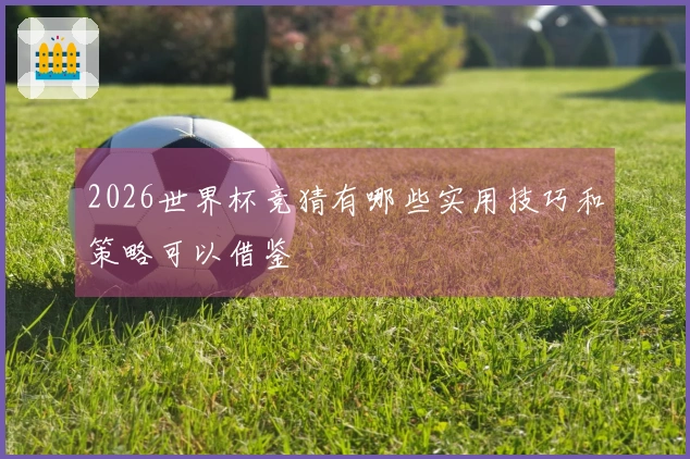 2026世界杯竞猜有哪些实用技巧和策略可以借鉴