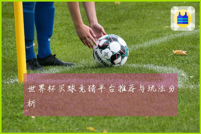 世界杯买球竞猜平台推荐与玩法分析