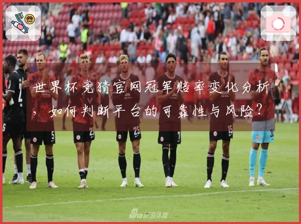 世界杯竞猜官网冠军赔率变化分析，如何判断平台的可靠性与风险？