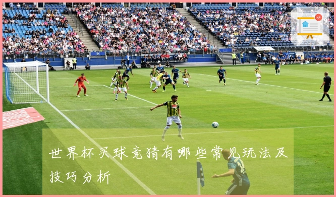 世界杯买球竞猜有哪些常见玩法及技巧分析