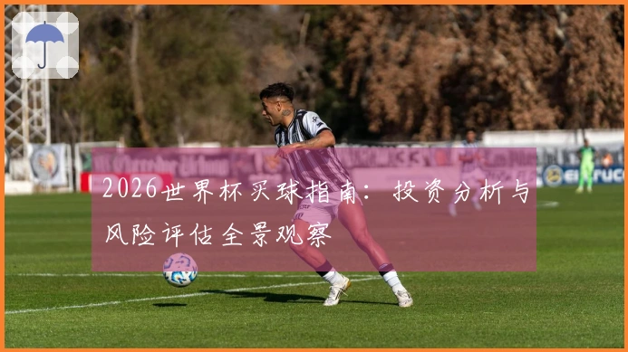 2026世界杯买球指南：投资分析与风险评估全景观察