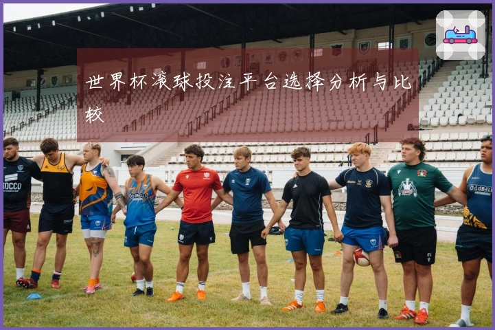 世界杯滚球投注平台选择分析与比较