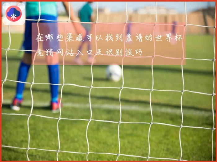 在哪些渠道可以找到靠谱的世界杯竞猜网站入口及识别技巧
