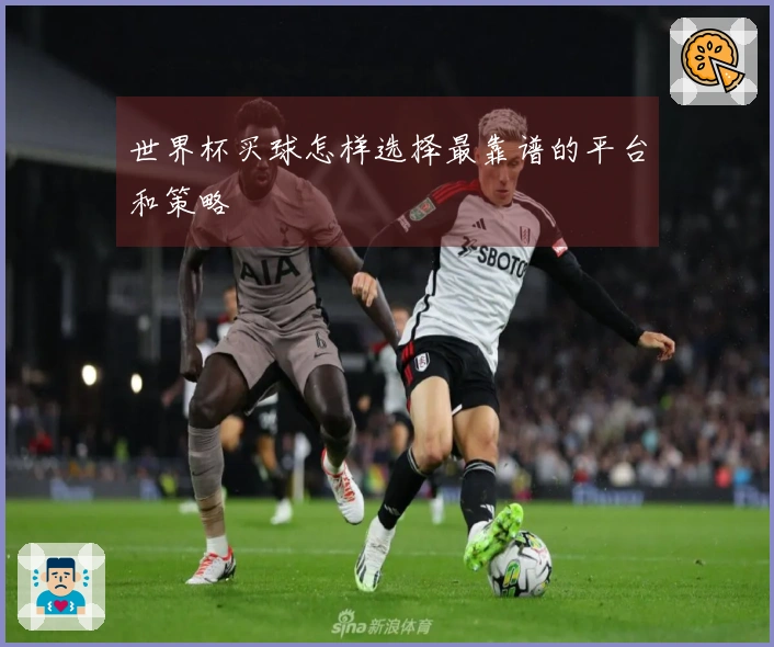 世界杯买球怎样选择最靠谱的平台和策略