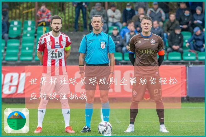 世界杯让球买球规则全解助你轻松应对投注挑战