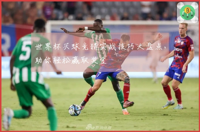 世界杯买球竞猜实战技巧大盘点，助你轻松赢取奖金