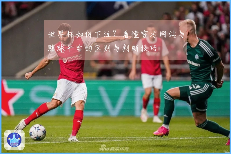 世界杯如何下注？看懂官方网站与赌球平台的区别与判断技巧