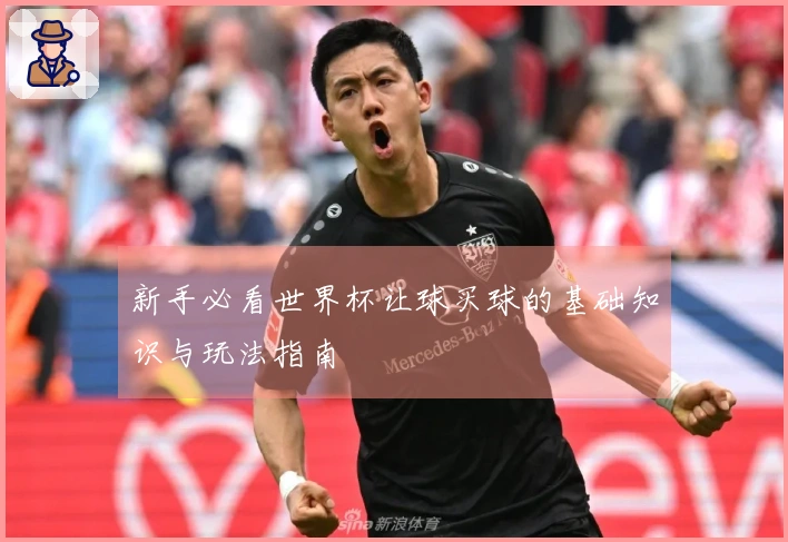 新手必看世界杯让球买球的基础知识与玩法指南