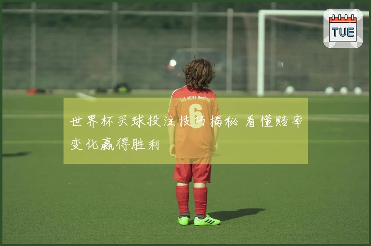 世界杯买球投注技巧揭秘 看懂赔率变化赢得胜利
