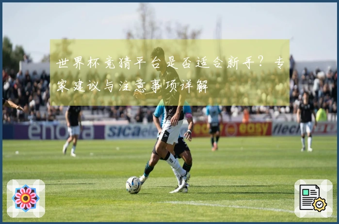世界杯竞猜平台是否适合新手？专家建议与注意事项详解
