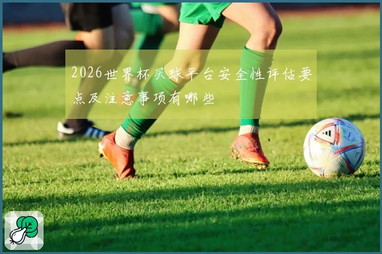 2026世界杯买球平台安全性评估要点及注意事项有哪些