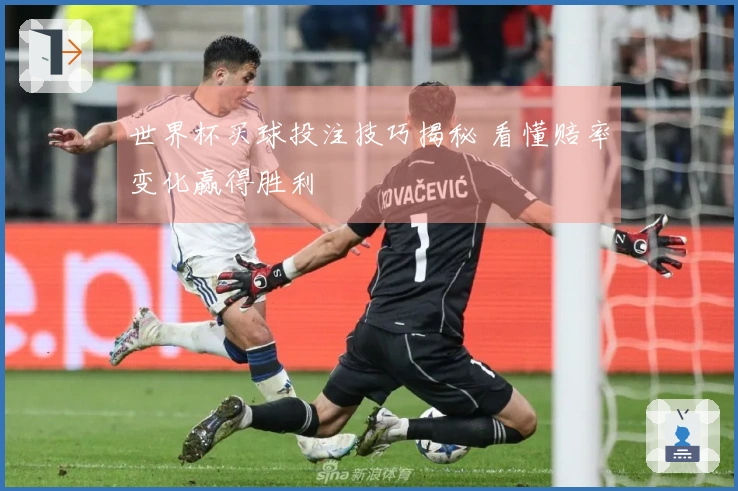 世界杯买球投注技巧揭秘 看懂赔率变化赢得胜利