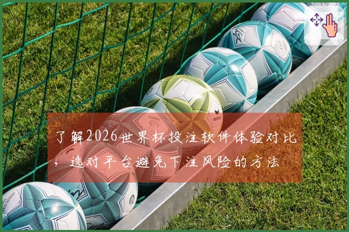 了解2026世界杯投注软件体验对比，选对平台避免下注风险的方法