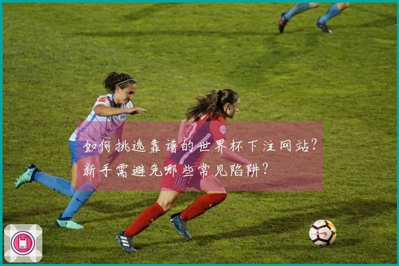 如何挑选靠谱的世界杯下注网站？新手需避免哪些常见陷阱？