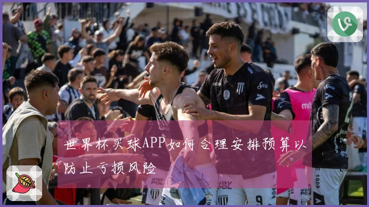 世界杯买球APP如何合理安排预算以防止亏损风险