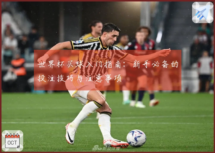 世界杯买球入门指南：新手必备的投注技巧与注意事项