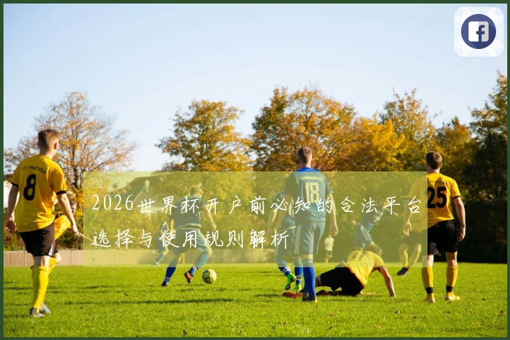 2026世界杯开户前必知的合法平台选择与使用规则解析