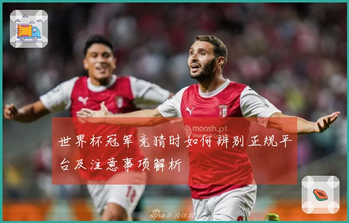 世界杯冠军竞猜时如何辨别正规平台及注意事项解析
