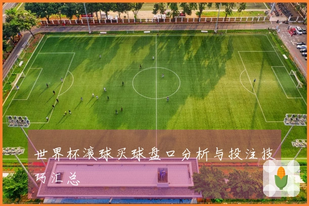 世界杯滚球买球盘口分析与投注技巧汇总