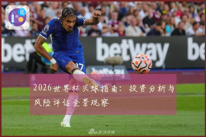 2026世界杯买球指南：投资分析与风险评估全景观察