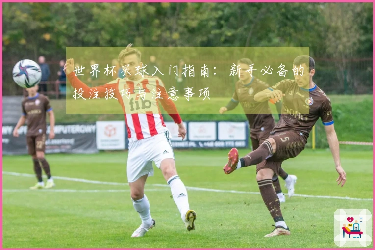 世界杯买球入门指南：新手必备的投注技巧与注意事项