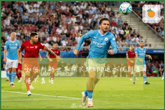 如何判断世界杯买球app返水规则靠谱不靠谱