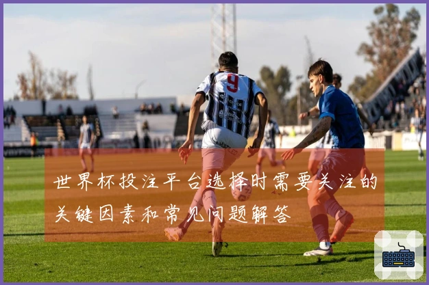 世界杯投注平台选择时需要关注的关键因素和常见问题解答