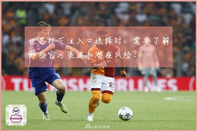 世界杯下注入口选择时，需要了解哪些官方渠道和潜在风险？