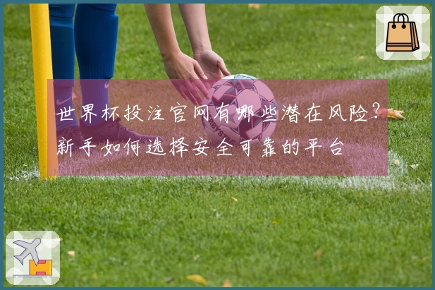 世界杯投注官网有哪些潜在风险？新手如何选择安全可靠的平台