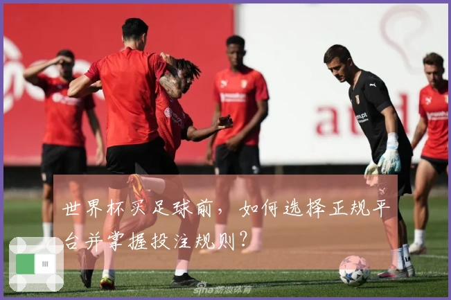 世界杯买足球前，如何选择正规平台并掌握投注规则？