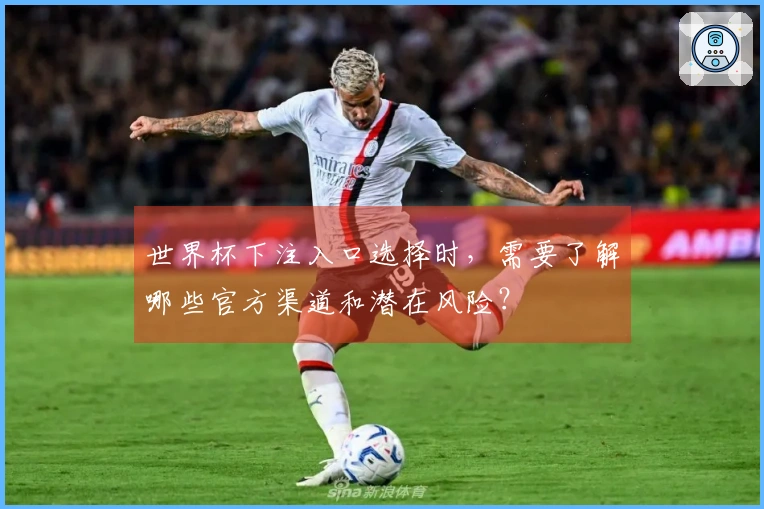 世界杯下注入口选择时，需要了解哪些官方渠道和潜在风险？